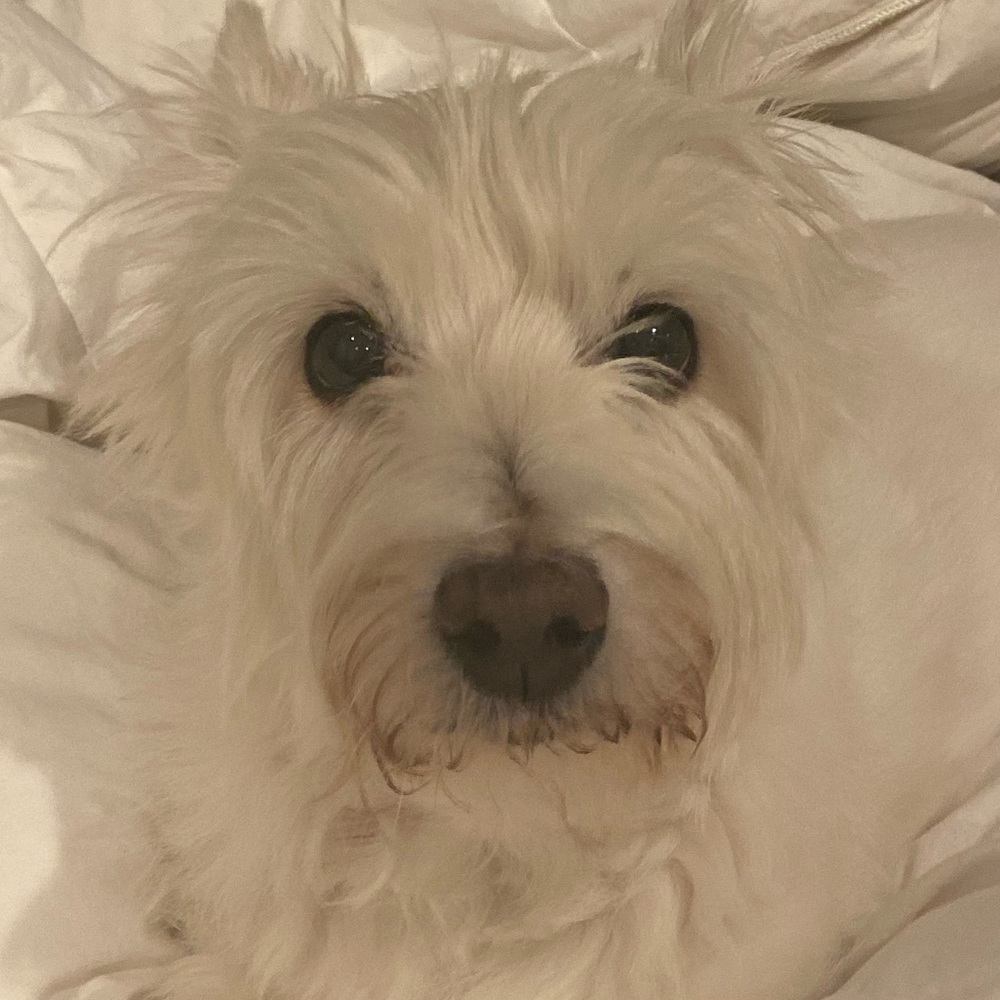 Meet your Posher, Natalie